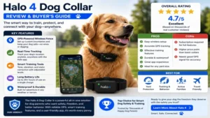 halo 4 dog collar featured in a buyer's guide highlighting key features and benefits