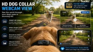 hd dog collar webcam view with crystal-clear 1080p video from a dog perspective
