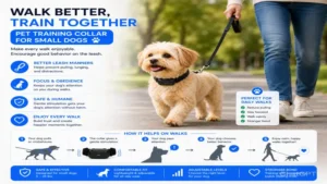 pet training collar for small dogs supporting better leash manners and enjoyable daily walks