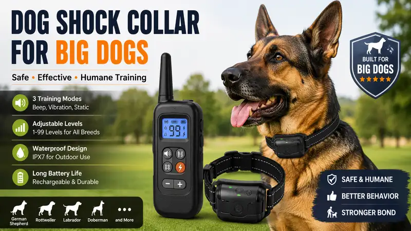 Dog shock collar for big dogs with remote training system designed for large breed obedience and safe, effective training.