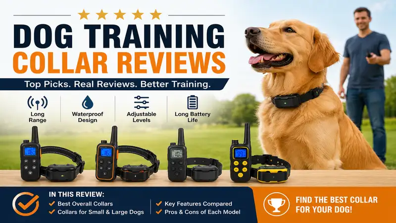 Dog training collar reviews comparing popular training collars for different dog sizes and training needs.