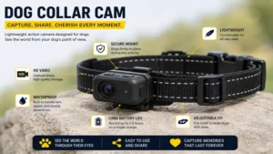 Dog collar cam securely mounted on a comfortable adjustable dog collar