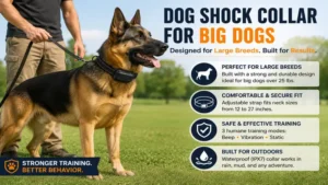 Dog shock collar for big dogs properly fitted on a large breed during an outdoor training session.