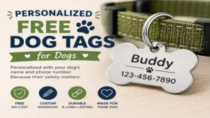 Personalized free dog tags for dogs with engraved name and phone number