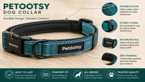 Close-up view of the Petootsy dog collar showing the durable materials and buckle design of the Petootsy dog collar
