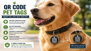 qr code pet tags attached to a dog collar for fast pet identification