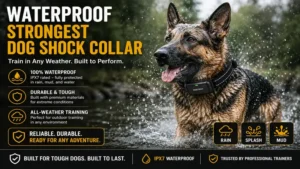 waterproof strongest dog shock collar designed for outdoor and all-weather dog training sessions