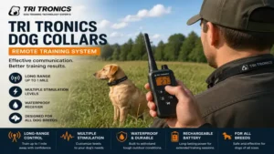 tri tronics dog collars remote training system used for obedience training in outdoor environments