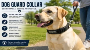 dog guard collar worn by a dog during outdoor activities for comfort and protection