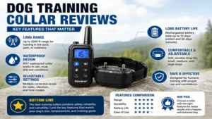 Dog training collar reviews highlighting remote range, waterproof design, and adjustable settings.