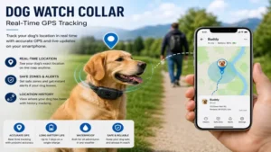 Dog watch collar displaying real-time GPS location tracking during a neighborhood walk