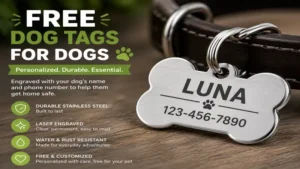 Close-up of free dog tags for dogs showing durable engraved identification