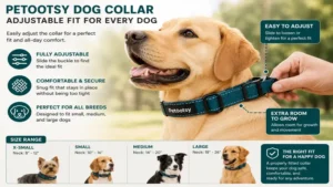 Petootsy dog collar with adjustable straps demonstrating how the Petootsy dog collar fits different dog breeds comfortably