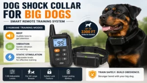 Dog shock collar for big dogs with remote control featuring beep, vibration, and adjustable static training modes.