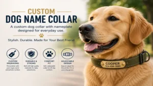 custom dog collar with nameplate designed for daily comfort and reliable identification