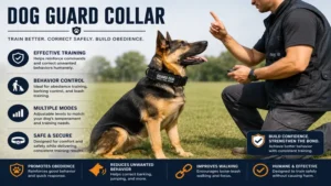 dog guard collar used for obedience training and behavior management sessions