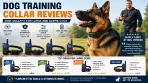 Dog training collar reviews featuring reliable training collars for large and active dogs.