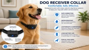 Dog wearing a receiver collar designed for an indoor electric dog fence system inside the home.