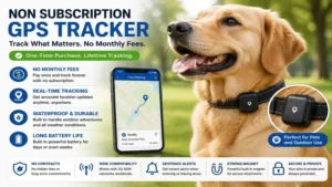 Non subscription gps tracker attached to a pet collar for dependable outdoor tracking