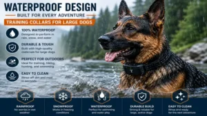 Waterproof training collars for large dogs built for dependable performance in outdoor environments.