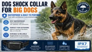 Dog shock collar for big dogs with waterproof construction for reliable performance during outdoor activities.
