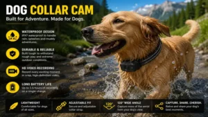 Waterproof dog collar cam designed for hiking, running, and outdoor activities