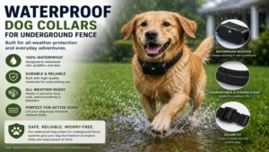 Dog collars for underground fence designed for outdoor play in all weather conditions