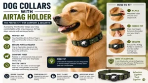 Properly fitted dog collars with airtag holder providing comfort and secure Airtag placement
