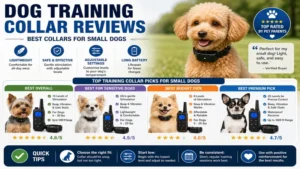 Dog training collar reviews comparing lightweight collars designed for small dog breeds.