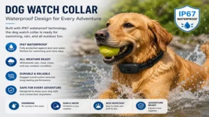 Dog watch collar with waterproof construction for outdoor adventures in all weather conditions