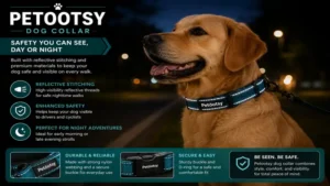 Petootsy dog collar highlighting reflective details and safety features for nighttime walks