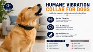 Humane vibration collars for dogs helping reduce excessive barking safely