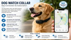 Dog watch collar used during obedience training and outdoor exercise sessions