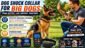 Dog shock collar for big dogs used during structured obedience training alongside positive reinforcement techniques.