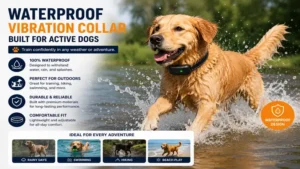 Waterproof vibration collars for dogs suitable for swimming and outdoor activities