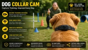Dog collar cam used during dog training sessions to capture real-time footage