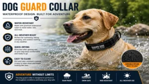 dog guard collar waterproof design built for outdoor adventures and all-weather use
