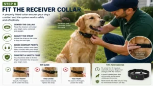 Electric dog fence installation with the receiver collar properly fitted for safe and effective performance.