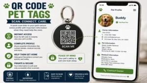 qr code pet tags linked to an online pet profile with owner and medical information