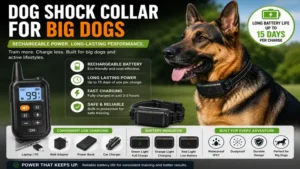 Dog shock collar for big dogs featuring a rechargeable battery with long-lasting power for extended training sessions.