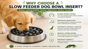 Wireless indoor electric dog fence creating a customizable safe zone for dogs inside the house.