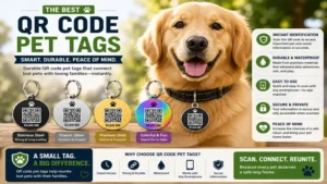 Best qr code pet tags offering durable materials, quick smartphone scanning, and reliable pet safety