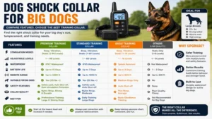 Dog shock collar for big dogs comparison highlighting key features to help owners choose the right training collar.