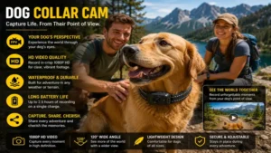 Dog collar cam helping pet owners record memorable outdoor moments with their dog