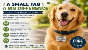 Happy dog wearing free dog tags for dogs to help improve identification and safety