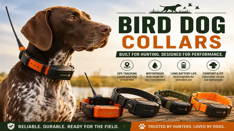 bird dog collars designed for hunting, training, and outdoor tracking with durable construction