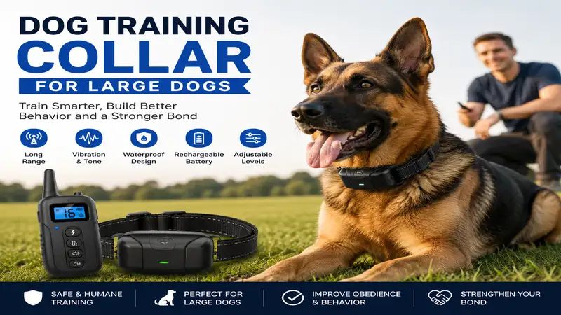 Dog training collar for large dogs designed for comfortable, effective obedience training and everyday use