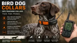 bird dog collars with GPS tracking for locating hunting dogs in the field