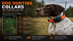 Dog hunting collars with GPS tracking to monitor hunting dogs during outdoor adventures