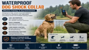 Waterproof dog shock collar used for safe and effective obedience training outdoors